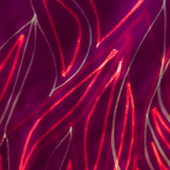 Multicolour Subtle Wallpapers. Rainbow Brochure.