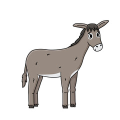 Cartoon outline donkey illustration on white background. Vector doodle single isolated hand drawn farm gray animal smiles, looks to the camera, side portrait view for children book