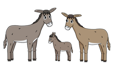 Cute outline cartoon hand drawn donkey family. Gray Male father, brown female mother with eyelashes and foal baby kid vector doodle farm animals isolated illustration on white background, side view