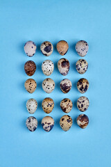 Vertical shot of quail eggs rows.