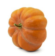 Autumn orange pumpkin. autumn orange pumpkin  for web design isolated on white background.