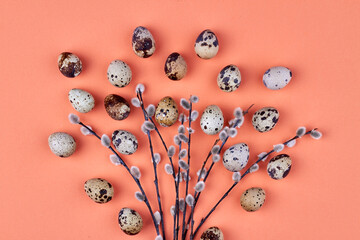 Composition of easter willow branches and quail eggs.