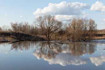 Mirror surface of water. Spring flood. Russian nature in spring. Spring landscape with a beautiful...