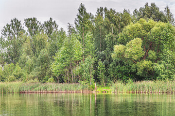 landscape of a forest lake on a cloudy summer day