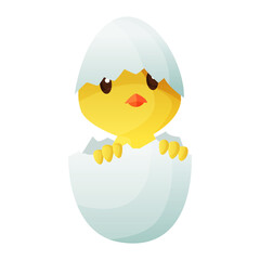 Cute little cartoon chick hatched from an egg isolated on a white background. Funny yellow chicken.  illustration of little chicken for children