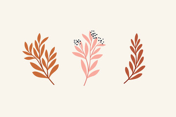 Fototapeta na wymiar Set of botanical vector elements. Hand drawn illustration with leaves and plants.  Floral ornaments for card, logo design, print fashion.