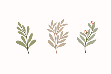 Set of botanical vector elements. Hand drawn illustration with leaves and plants.  Floral ornaments for card, logo design, print fashion.