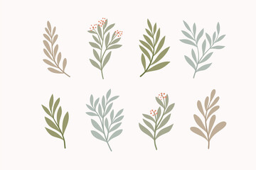 Set of vector floral elements. Hand drawn leaves isolated. Botanical illustration for decoration, print design.