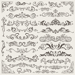 Obraz premium set of calligraphic design elements and page decorations. Elegant collection of hand drawn swirls and curls for your design. Isolated on beige background