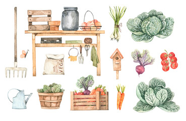 Watercolor Garden harvest illustrations with garden tools, vegetables, plants and farm objects. Spring summer seasons.Cartoon style. Perfect for cards, posters, prints, social media, advertise