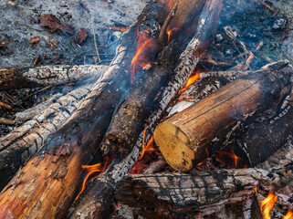 Bonfire burns in the forest