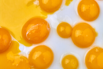 Top view chicken egg yelks on white surface.