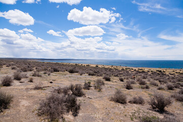 Punta Tombo beach day view, Patagonia, Argentina