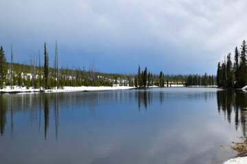 Picture of Reflections In The Yellowstone River, Yellowstone National Park and Preserve, Wyoming, USA. 