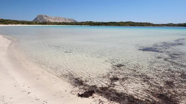 La Bellissima Spiaggia di Cala Brandinchi in localit&agrave; coda cavallo, Sardegna