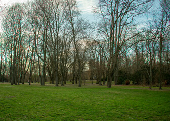 Obraz premium Landscape at Volkspark Humboldthain in Gesundbrunnen Berlin Germany