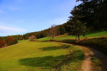 autumn in the park