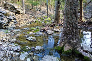 This photo was taken on the Elk River Hiking Trail near Independence, Kansas. 