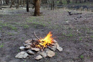 This photo was taken on the Elk River Hiking Trail near Independence, Kansas. 