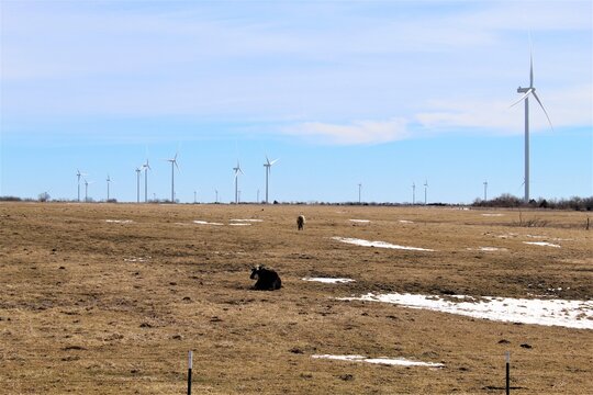 This photo was taken on a wind farm near La Harpe, Kansas.