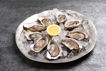 Delicious fresh oysters with lemon on grey table