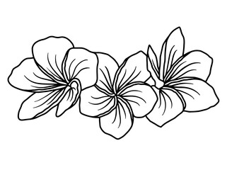 Flowers Line Art. You can use this beautiful file to print on greeting card, frame, mugs, shopping bags, wall art, telephone boxes, wedding invitation, stickers, decorations, and t-shirts.