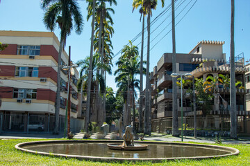 s&atilde;o fotos bonitas 