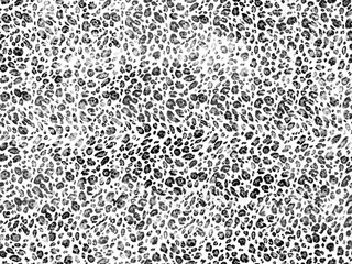 abstract leopard print	
