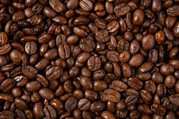Freshly roasted coffee beans background. close up.