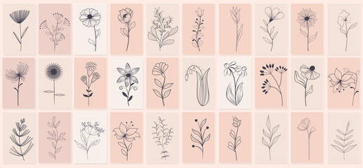 Set of beautiful hand drawn of floral with leaves and branches, floral sketch collection. Flowering plants and wild herbs hand drawn. Isolated vector icons set