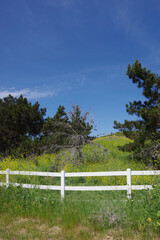 Fototapeta premium Southern California rural landscape scenery in springtime