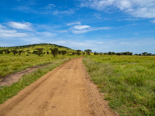 Dirt road through Serengeti National Park, Tanzania
