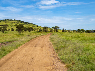 Fototapeta na wymiar Dirt road through Serengeti National Park, Tanzania