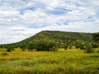Fototapeta na wymiar Serengeti National Park, Tanzania, Africa - February 29, 2020: Scenic Views across Serengeti National Park