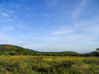 Scenic view across Savannah of Lake Nakuru National Park, Kenya, Africa