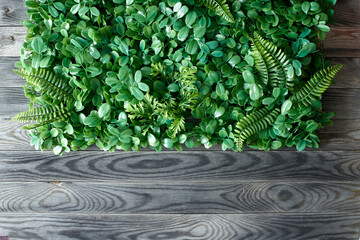 Hanging Garden