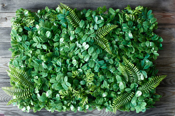 Hanging Garden