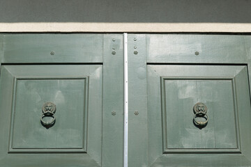 green door and lion door knockers