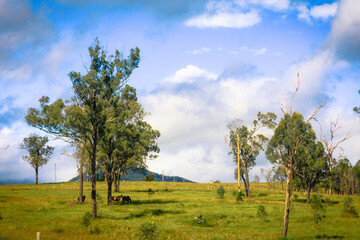 Fototapeta na wymiar The Boonah countryside inside the Scenic Rim Queensland
