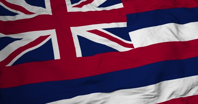 Full frame 3D animation of a flag of Hawaii (USA) waving.