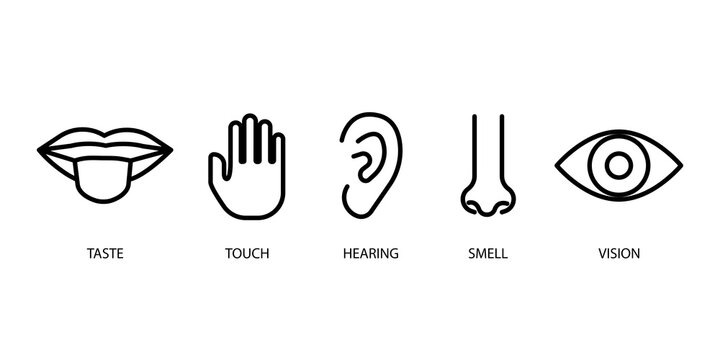 Sense organs in cartoon style. Graphic image of nose, mouth, ears, eyes, hands. Stock image. Vector illustration. EPS 10.