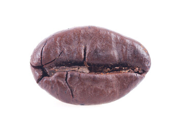 Close up of individual coffee beans