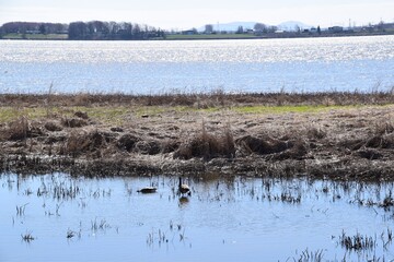 Lebel island on the north shore of Montreal 