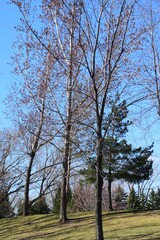 Obraz premium Lebel island on the north shore of Montreal 