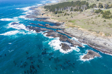 The Pacific Ocean crashes onto the rugged shore of Northern California in Mendocino on a beautiful day. This region is known for its scenic mountains, forests, and coastline.