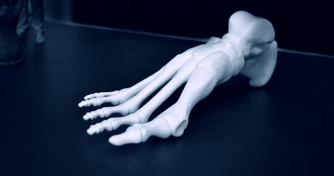 White prototype of the human foot skeleton printed on 3d printer