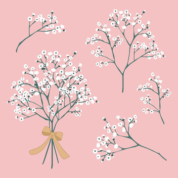 Vector Baby's Breath Flowers tied with ribbon