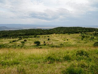 Fototapeta na wymiar Scenic view of Lake Nakuru National Park, Kenya, Africa