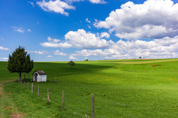 Landscape 4