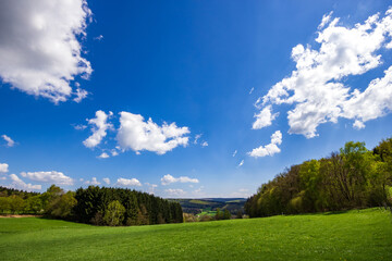 Landscape 5
